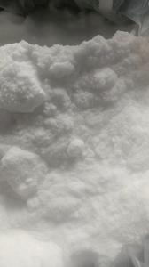 Lidocaine Hydrochloride